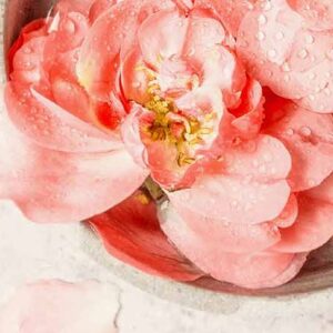 Ароматы для саун Lacoform